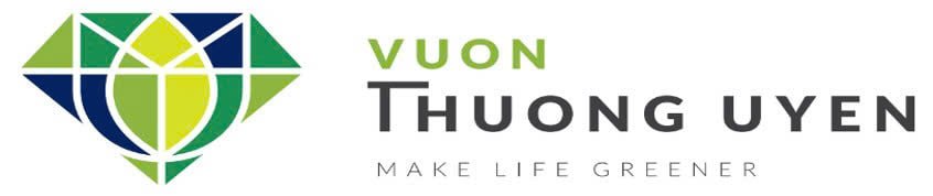 GIỚI THIÊU CÂY CẢNH