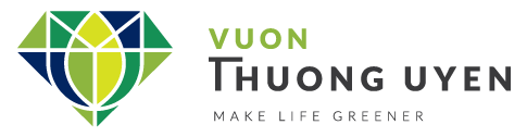 Thiết kế cảnh quan Vườn Thượng Uyển