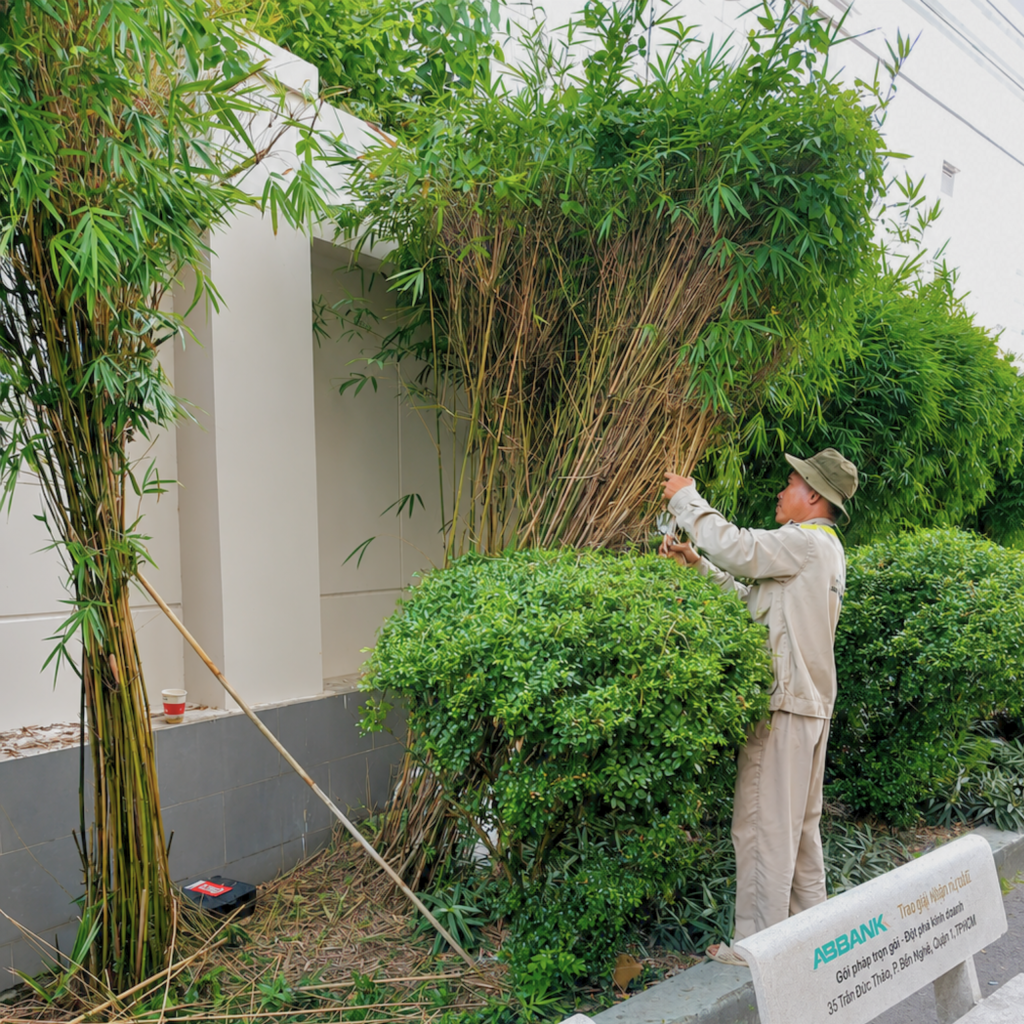 thiết kế & thi công cảnh quan