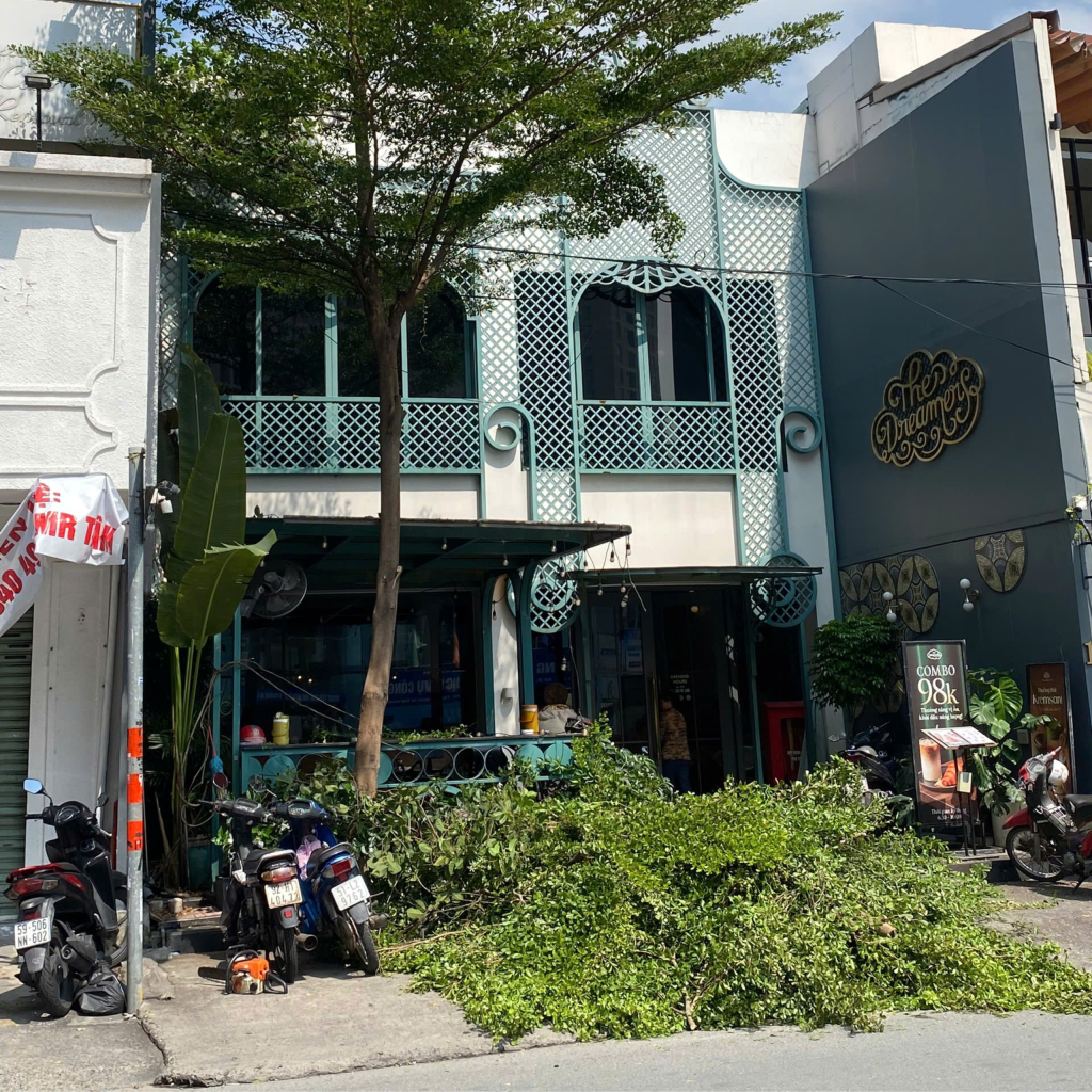 dịch vụ cắt cỏ & cắt tỉa cây lớn
