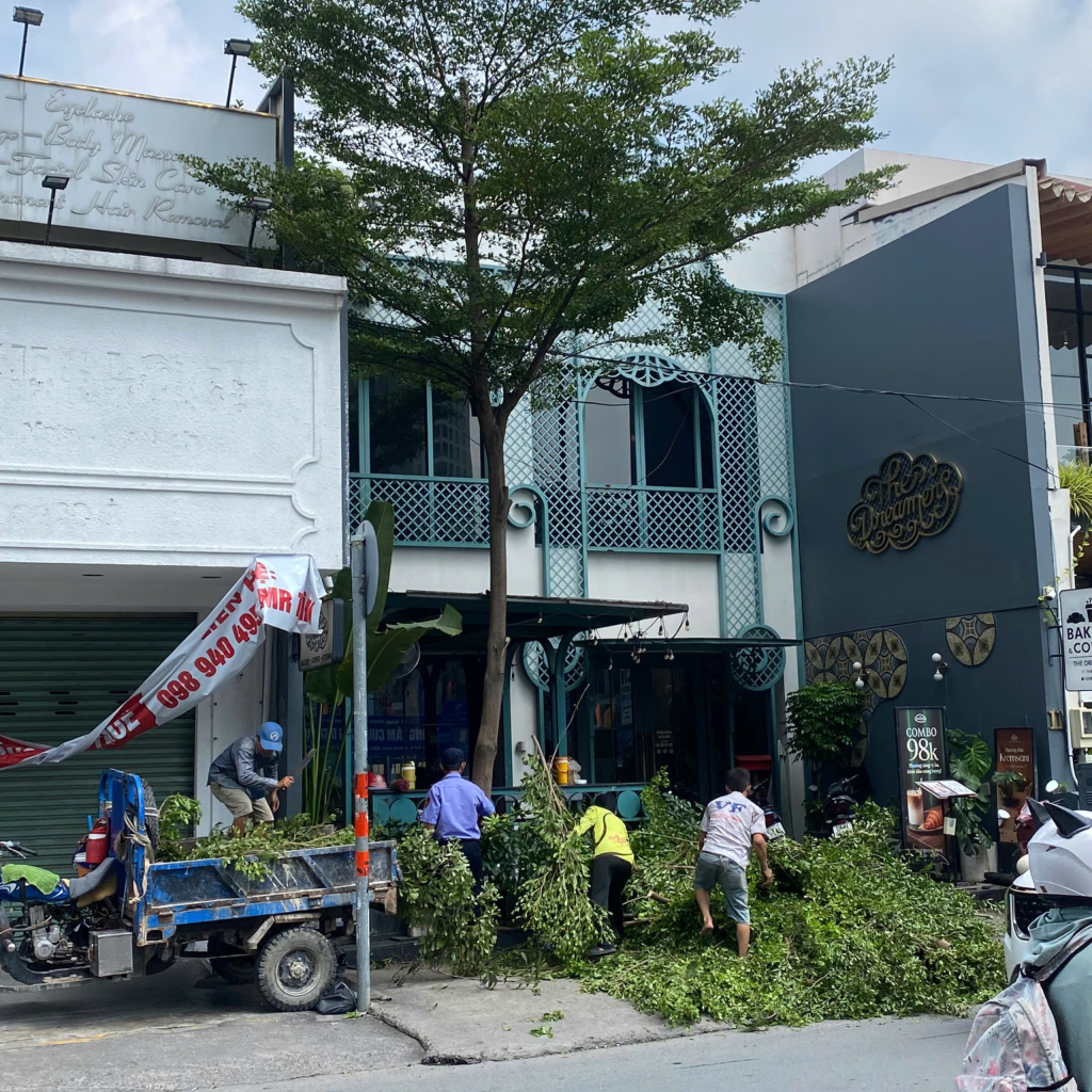dịch vụ cắt cỏ & cắt tỉa cây lớn